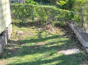 Leaf Removal by Steven J. Smith for Robert G. in Kansas City, MO