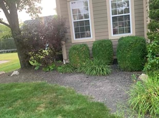 Bush Trimming by B.J. Schuetz for Canan C. in New Albany, OH