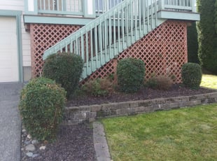 Bush Trimming by Charles Berns for Steven B. in Marysville, WA