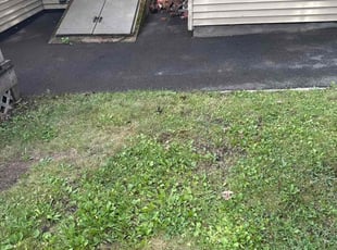 James C.'s Leaf Removal service result