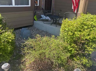 Bush Trimming by Daniel Atkins for Charles P. in Colorado Springs, CO