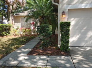 Bush Trimming by Miguel Brenes for Juanita T. in Melbourne, FL