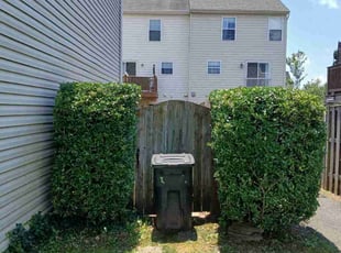Erin C.'s Bush Trimming service result