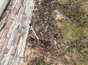 Weeding by Jose Disla; for Morgan T. in Haines City, FL