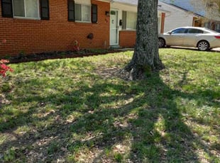 Leaf Removal by James Mozelle for christe C. in Hampton, VA