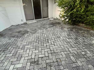 Leaf Removal by Devin Wiggins for H M. in Fort Lauderdale, FL