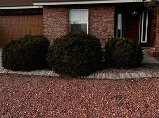 Bush Trimming by Frank Yzaguirre for Yulia I. in El Paso, TX