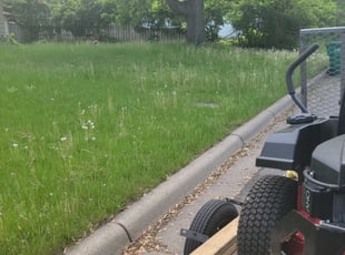 Cleanups by Kyle Anderson for Shon p. in Minneapolis, MN