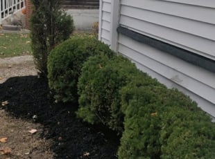 Mulching by Chris Steinhour for Donna P. in Columbus, OH