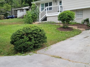 Bush Trimming by Nathan Christiansen for Jennifer K. in Chattanooga, TN