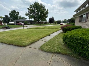 David B.'s Lawn Mowing service result