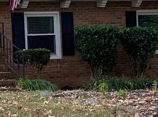 Bush Trimming by Anzeo Smith for Stan M. in Greenville, SC