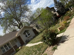 Leaf Removal by Layfloris Debramaletta for Joanna M. in Wheat Ridge, CO