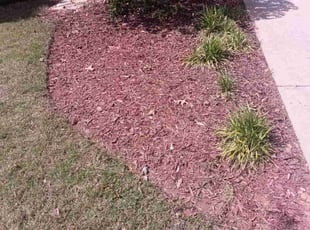 Weeding by Enrique Juarez for Steven W. in Woodstock, GA