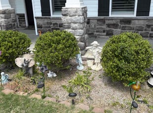 Bush Trimming by Jeff Lock for Cheryl H. in Clayton, NC