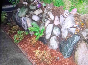 Cleanups by Krista Ainsworth for Kyleen N. in Seattle, WA