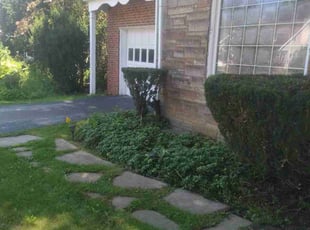 Bush Trimming by Elizabeth Williams for Janice H. in South Euclid, OH