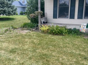 Weeding by Mike Kazlauskas for Jon M. in Plainfield, IL