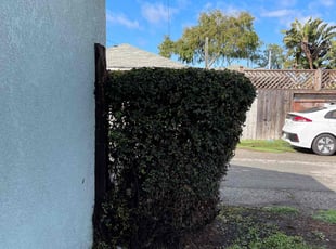 Bush Trimming by Uriel Ocampo for Sean D. in Torrance, CA