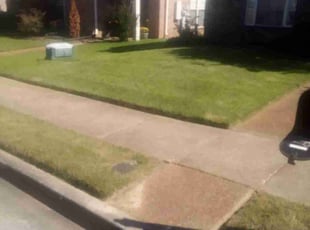 Hitomi K.'s Yard Cutting service result