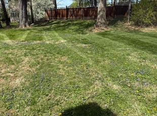 Cleanups by Jeremy Reichard for Madeline W. in Macungie, PA