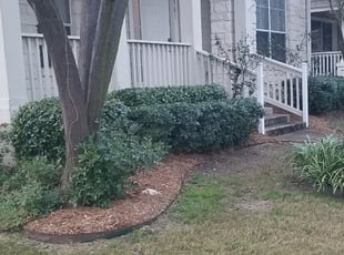 Mulching by Cesar Munoz for Jackie S. in Cedar Park, TX