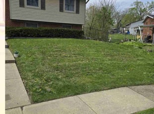 Tony A.'s Lawn Care service result