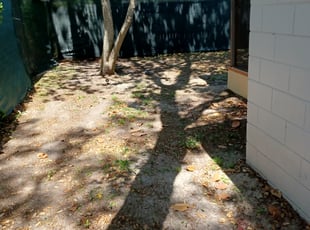Leaf Removal by Emanuel Kadyebo for Janielle S. in Orlando, FL