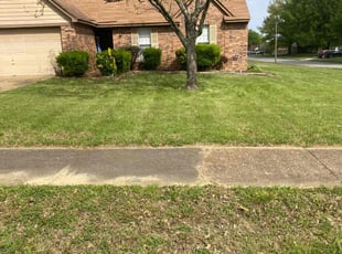 Toni C.'s Lawn Mowing service result