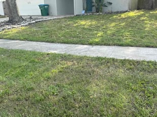 Jeremy W.'s Yard Cutting service result