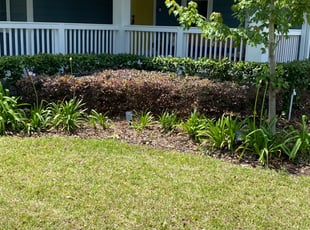 Bush Trimming by Bruce Peterson for Jason C. in Jacksonville, FL