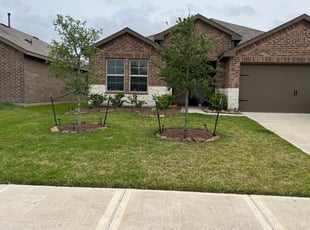 Mulching by Stephanie Bohorquez for Theresa M. in Katy, TX