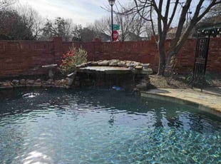 Leaf Removal by Ernest Howard for Anoop T. in Frisco, TX
