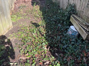 Cleanups by Titus Fowler for Alisha E. in Virginia Beach, VA