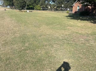 Rhonda M.'s Grass Cutting service result