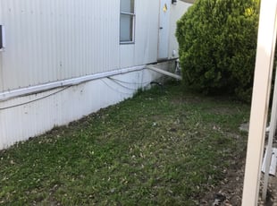 Matt G.'s Cleanups service result