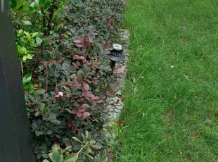 Bush Trimming by Antonio Villasenor for Michelle N. in Houston, TX