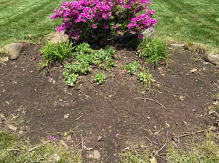 Weeding by robert rufin for Christena O. in North Ridgeville, OH