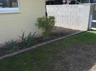 Bush Trimming by Joel Keller for Jennifer L. in Phoenix, AZ