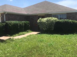 Albert D.'s Bush Trimming service result