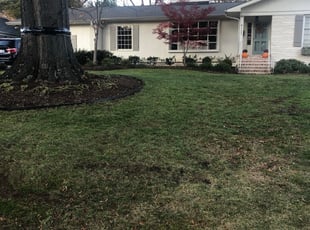 Leaf Removal by Steve McAlpin for Trent Z. in Charlotte, NC