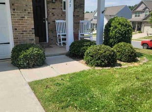 Bush Trimming by Andrew "Jordan" Shelton for Caitlin S. in Mount Holly, NC