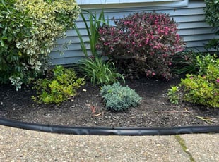 Weeding by Alexander King for Pradeep R. in Farmingville, NY