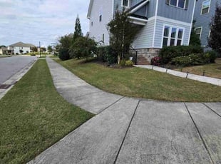 Denise M.'s Lawn Service service result