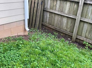 Cleanups by Joel Laumas for Abby M. in Lexington, KY