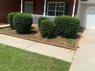 Bush Trimming by Jomari Collie for Brandi B. in Snellville, GA