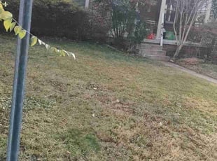 Cleanups by Allan Roberts for Alexander L. in Bethesda, MD