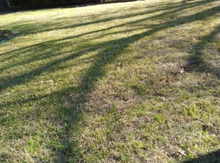 Cleanups by Eve Solis for LaTrece M. in DeSoto, TX