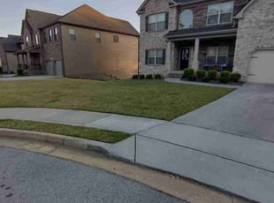 Camille S.'s Lawn Maintenance service result