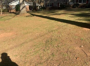 Leaf Removal by Brandon Cummings for Gregory B. in Smyrna, GA